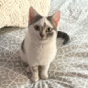 Meet your Posher, Paul